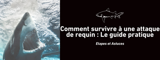 Comment survivre à une attaque de requin : Le guide pratique